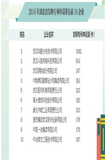 2016年湖北省发明专利申请排名前10企业